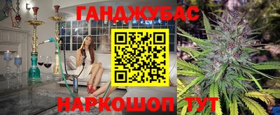 прущие грибы Вышний Волочёк