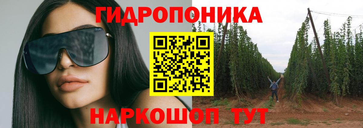 Шишки марихуана семена Белово